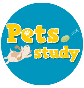 5.-Pets-Study